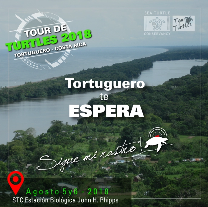STCT Campaña Tour de Turtles