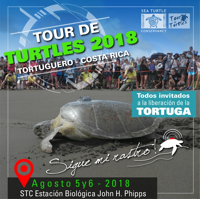 STCT Campaña Tour de Turtles